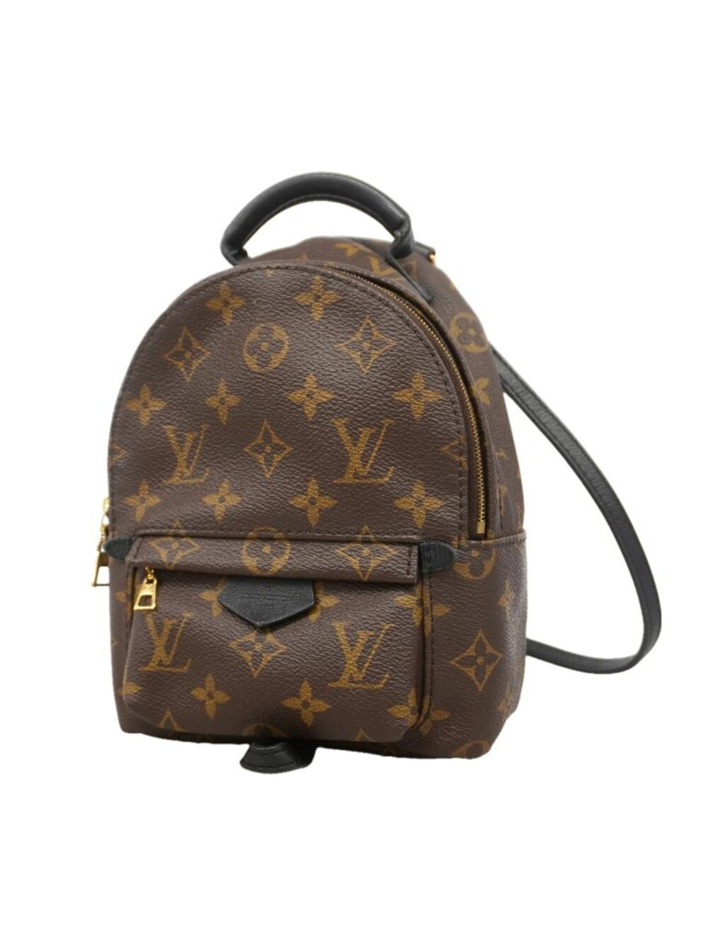 Louis Vuitton Backpack Monogram Palm Springs Mini Brown